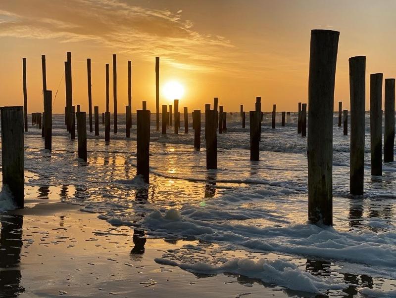De Kameleon Villa Petten Exteriör bild